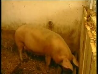 Es lebe das landleben - baeuerin je suis schweinestall gefickt